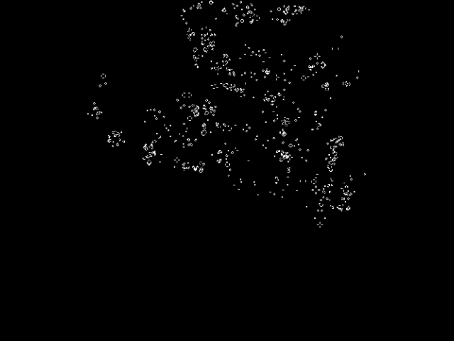 GIF 5